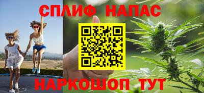 сатива Вязники