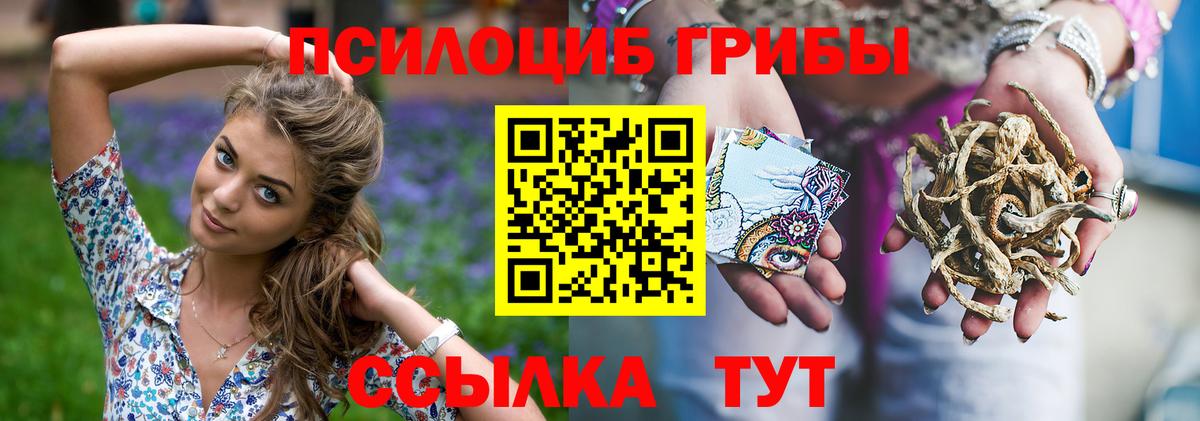 Псилоцибиновые грибы мицелий  Вход с VPN  Ишим 